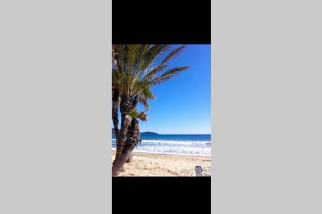 Au Petit Bonheur Vue Mer, Parking, 400M Plage Le Lavandou Zewnętrze zdjęcie