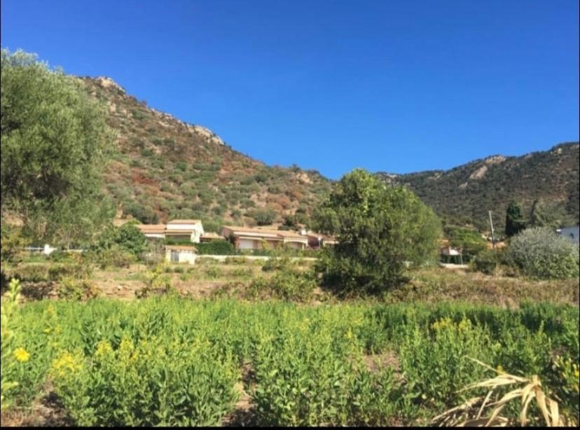 Au Petit Bonheur Vue Mer, Parking, 400M Plage Le Lavandou Zewnętrze zdjęcie